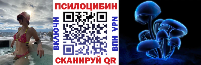 MEGA   Карабулак  Псилоцибиновые грибы GOLDEN TEACHER 