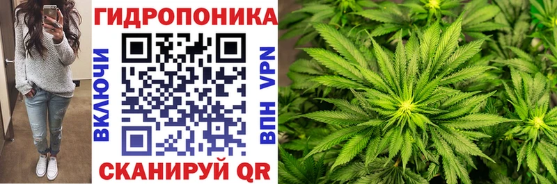 купить закладку  Карабулак  Бошки марихуана конопля 